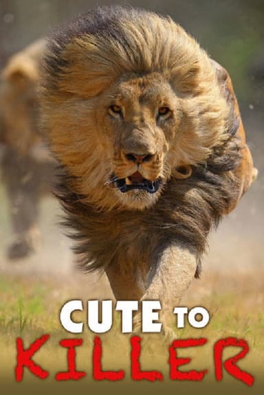 Cute to Killer poster