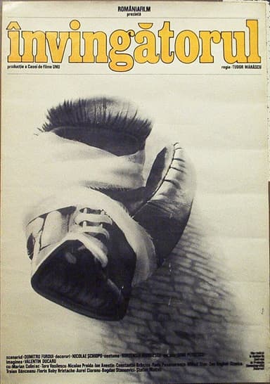The Winner poster