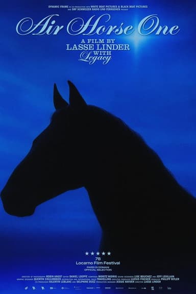 Air Horse One poster