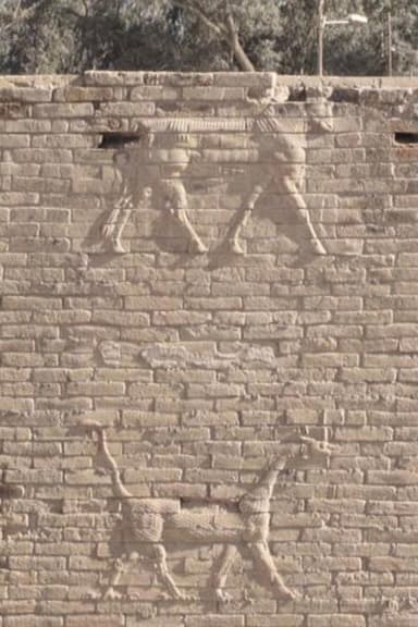 J-N-N poster