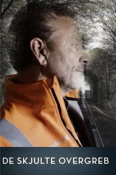 De skjulte overgreb poster