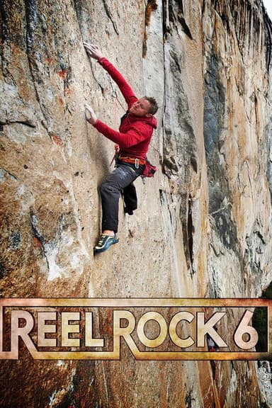 Project Dawn Wall poster