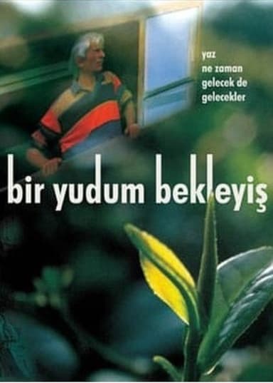Bir Yudum Bekleyiş poster
