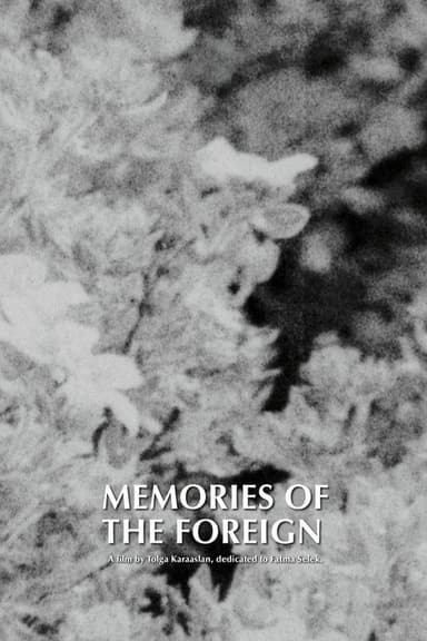 Memories of the Foreign poster