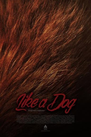 Like A Dog poster