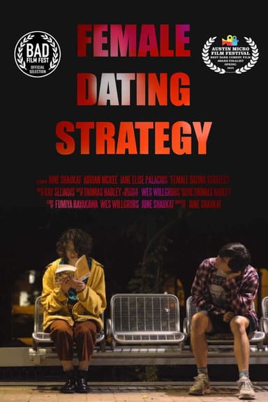 Female Dating Strategy poster