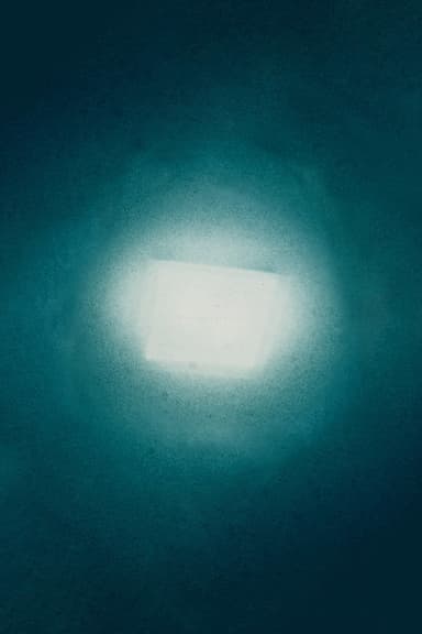 ʎɔuǝɹɐdsuɐɹʇ poster