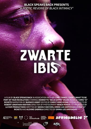 Black Ibis poster