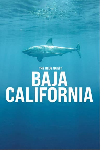 The Blue Quest Baja California poster