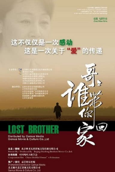 哥哥，谁带你回家 poster