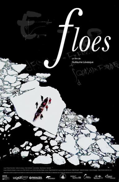 Floes poster