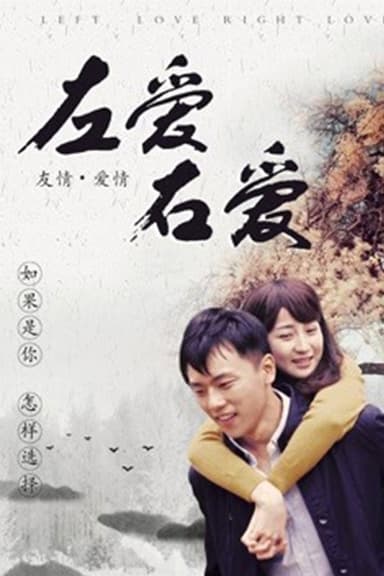 左爱右爱 poster