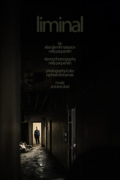 liminal poster
