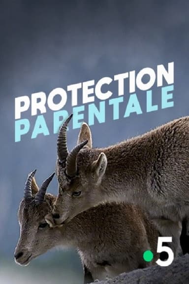 Protection parentale poster