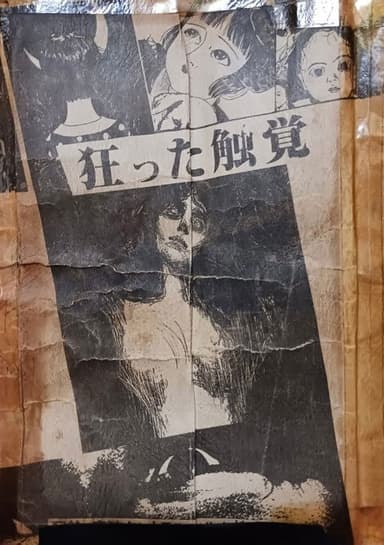 Distorted Sense of Touch poster