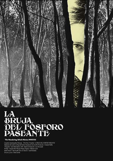 The Wandering Witch poster