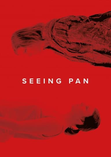 Seeing Pan poster