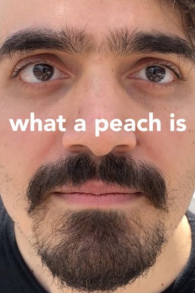 What a Peach Is poster