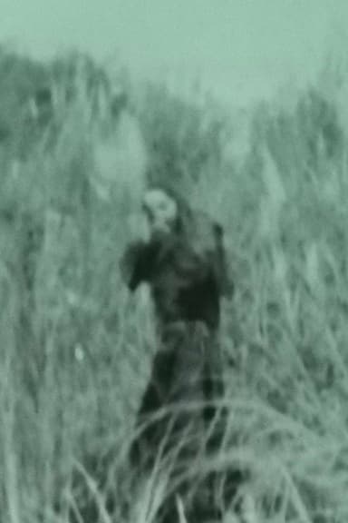 Aswang 1933 poster