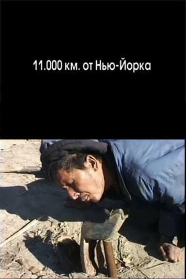 11.000 km from New York poster