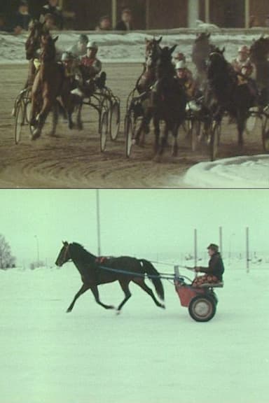 The Race poster