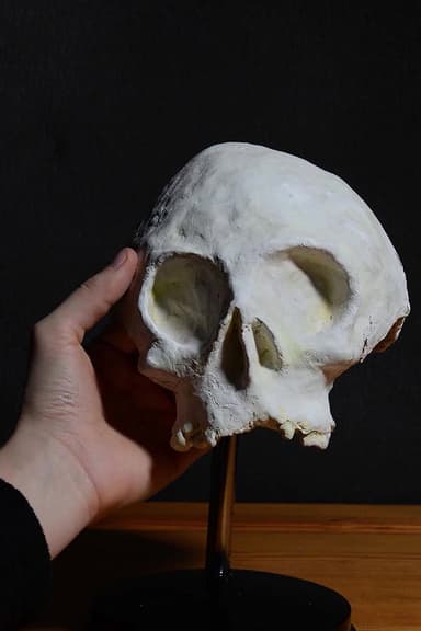 Skull poster