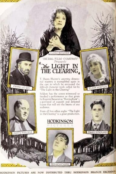 The Light in the Clearing poster