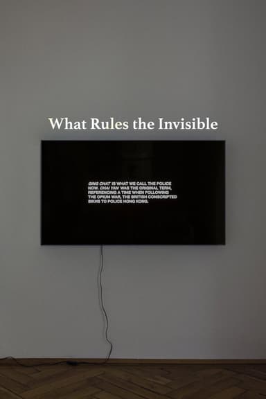 What Rules the Invisible poster
