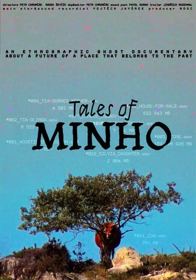 Tales of Minho poster