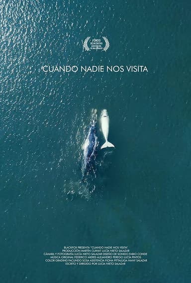 Cuando nadie nos visita poster