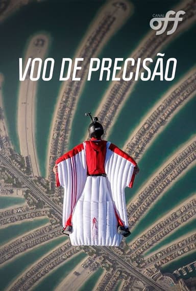 Voo De Precisão poster