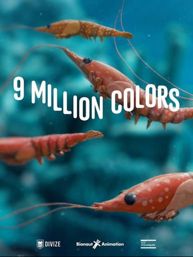 9 Million Colors poster