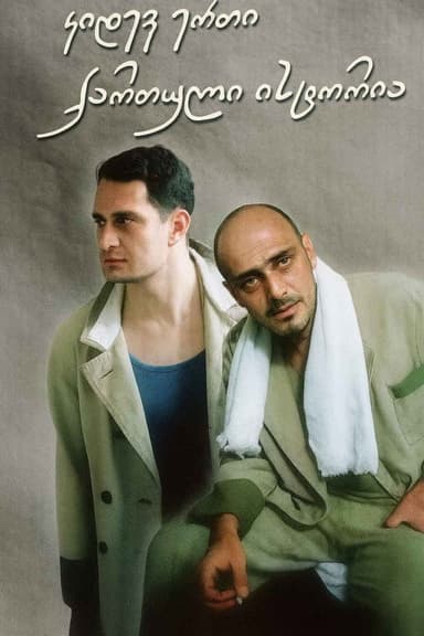 კიდევ ერთი ქართული ისტორია poster