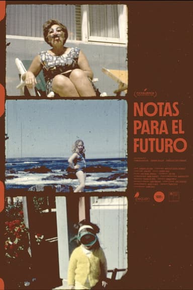 Notes for the future poster