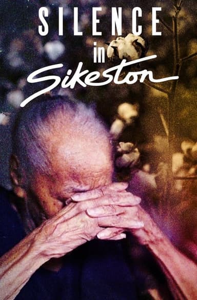 Silence in Sikeston poster