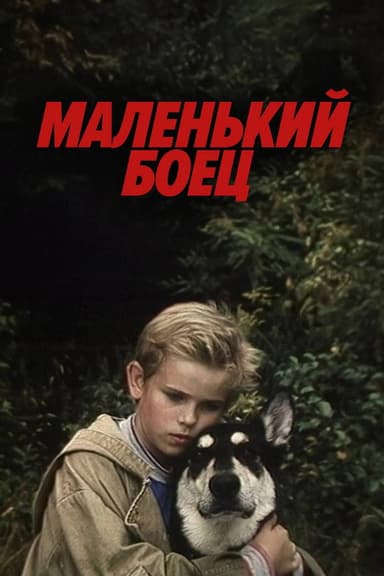 Little Fighter poster