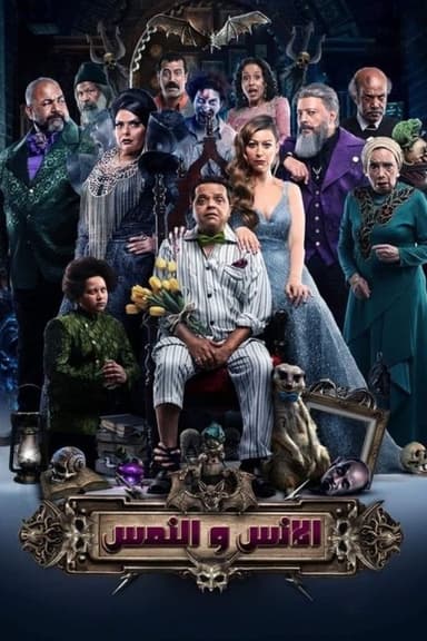 The Humans and the Mongoose poster