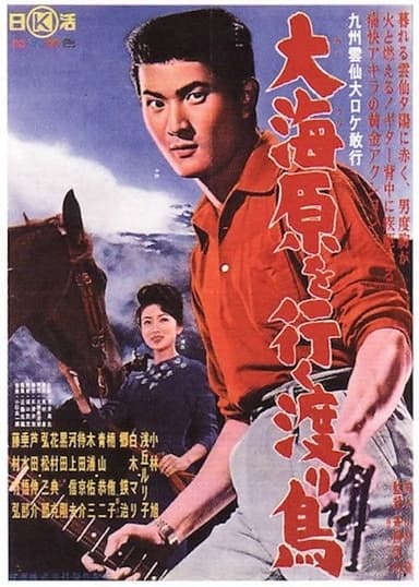 Rambling in the Sea poster
