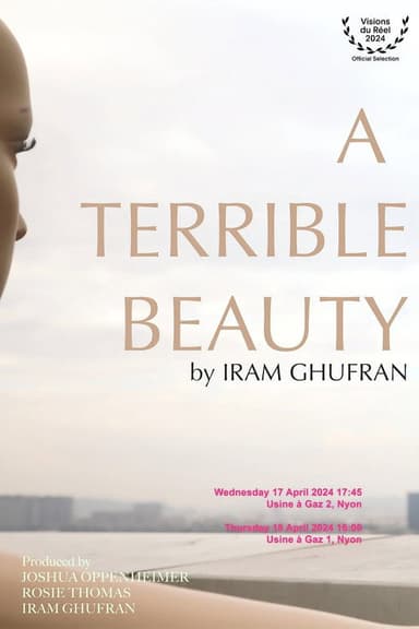 A Terrible Beauty poster