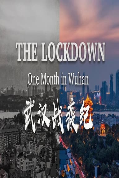 The Lockdown: One Month in Wuhan poster