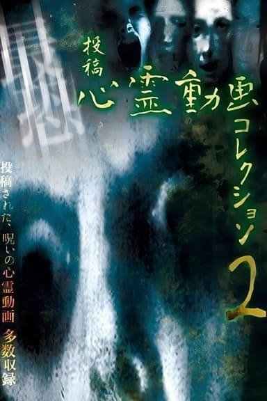 Submitted Paranormal Video Collection 2 poster