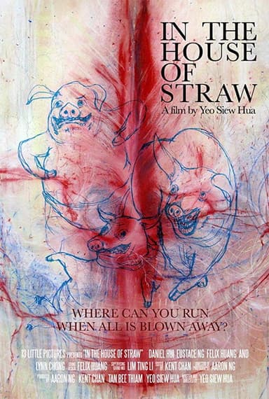 In the House of Straw poster