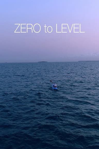Zero to Level poster
