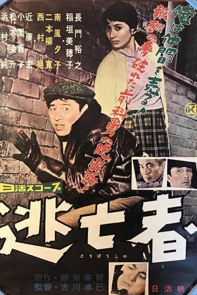 The Fugitive poster