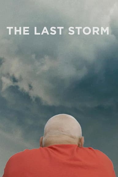 The Last Storm poster
