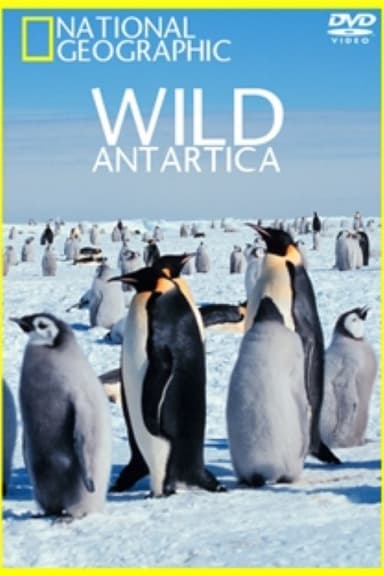 Wild Antarctica poster