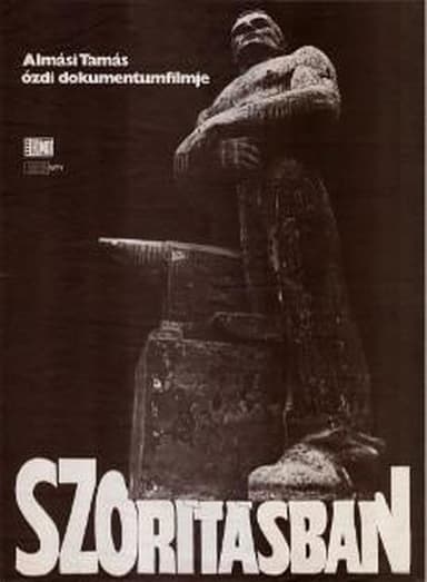In A Vise poster