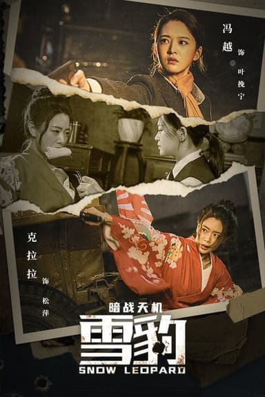 Snow Leopard Secret War poster