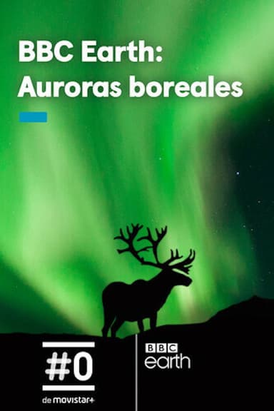 Gordon's Northern Lights Adventure poster