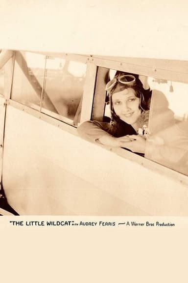 The Little Wildcat poster
